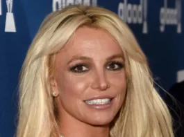 Britney Spears I will never work in the music industry again