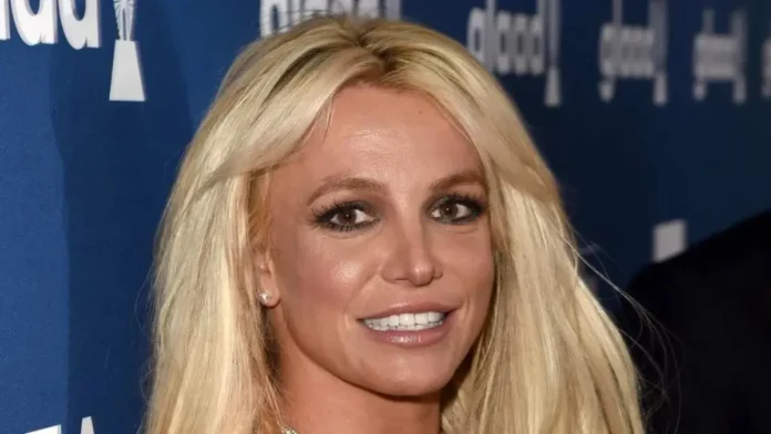 Britney Spears I will never work in the music industry again